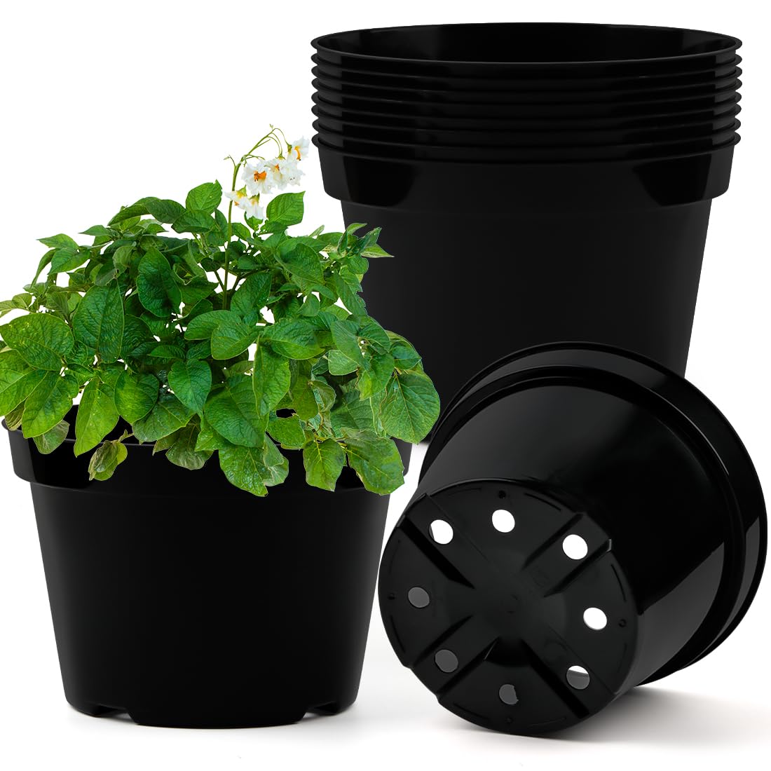Amazon.com: BTPLASTIK 8 Inch Plastic Plant Pots, 15 Pack Sturdy Nursery Pot  with Drainage Holes, Flower Planter Pots for Indoor Outdoor, Garden  Containers Sets for Vegetable Herbs Flowers, Black : Patio, Lawn