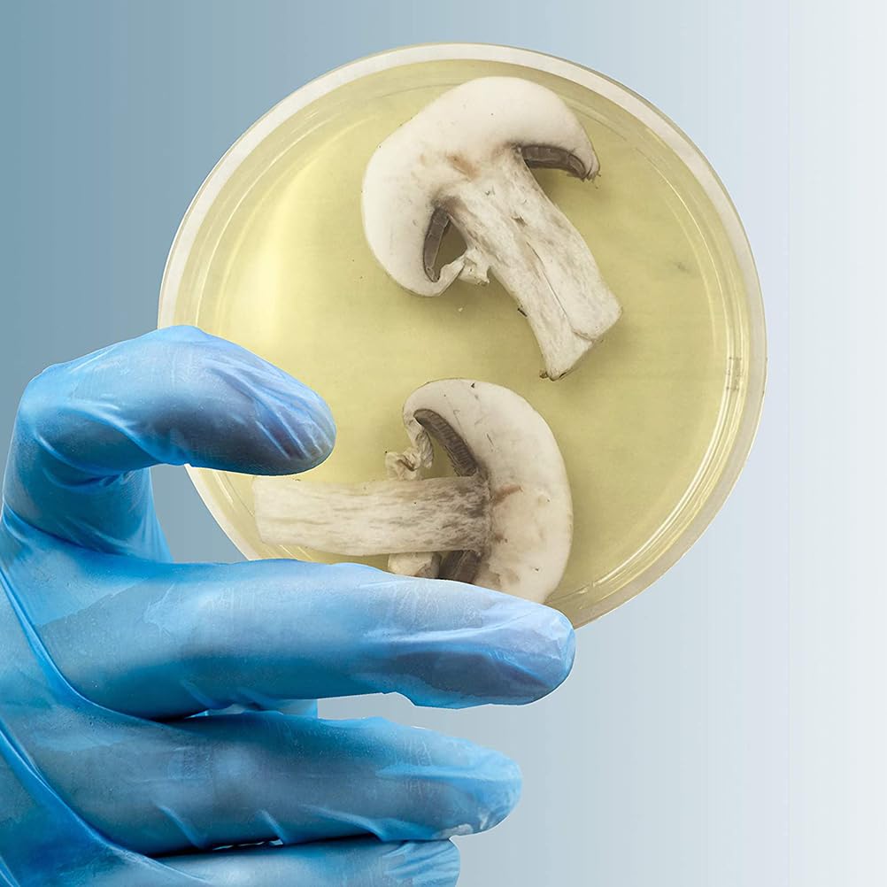 UKCOCO 10 Stück Agar Petrischplatten, Platten aus Kunststoff, Petroleumplatten, Agar R2a Petroleumplatten, Verwendung und Agar Medien Biologische Bestimmungsgeräte