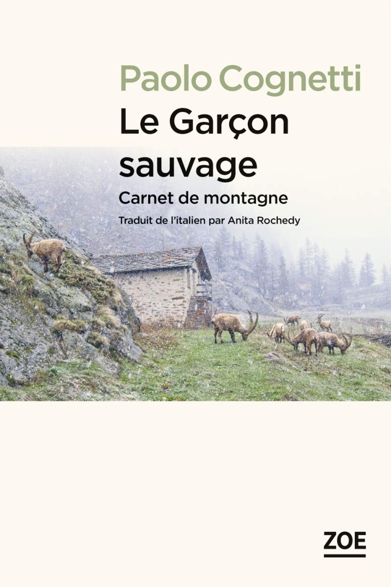 Le Garcon sauvage: Carnet de montagne