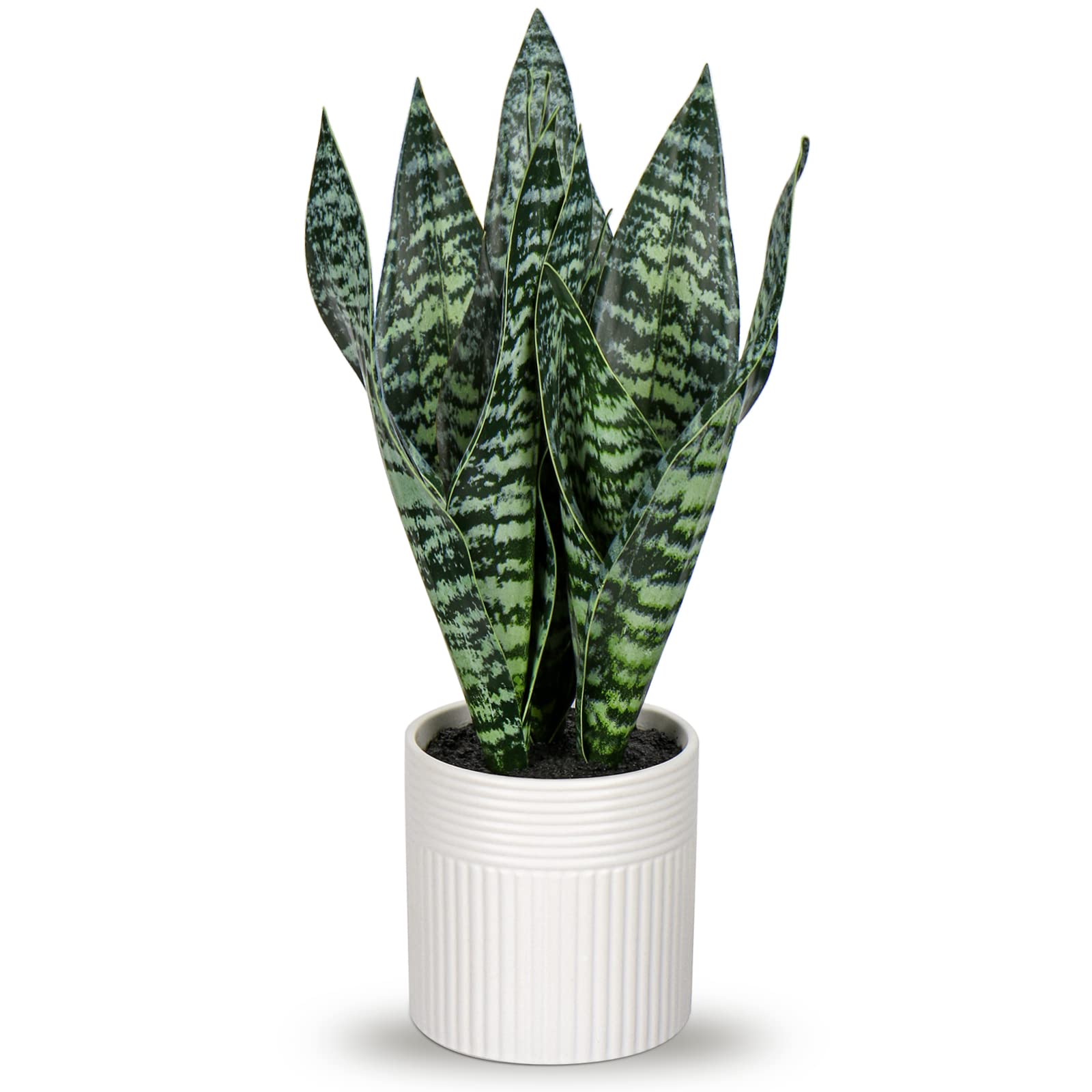 Briful 14' Fake Snake Plant