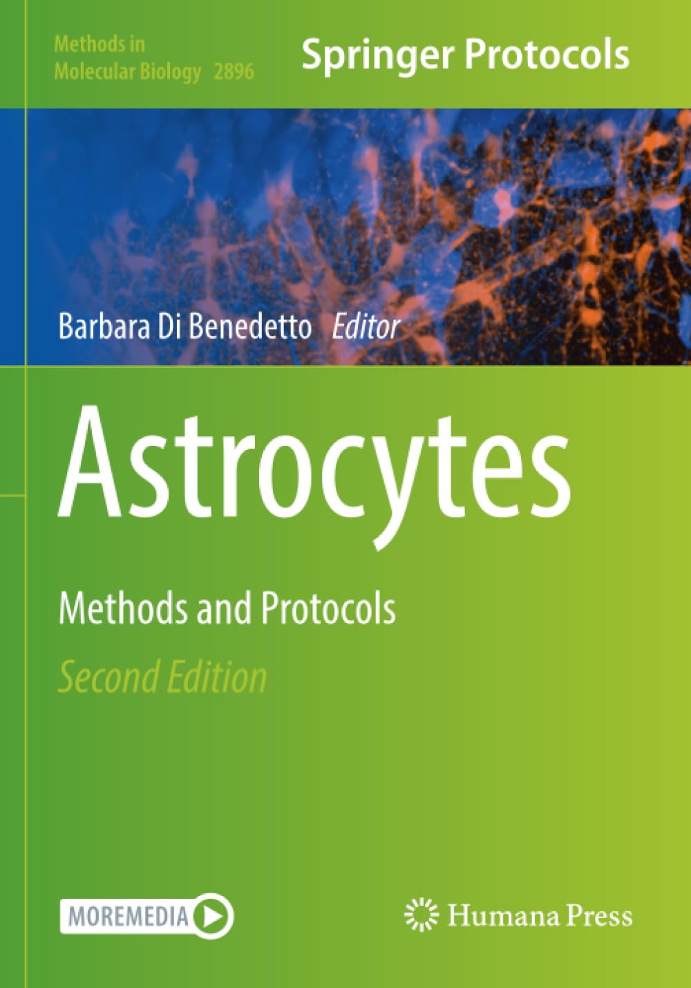 Astrocytes: Methods and Protocols (Methods in Molecular Biology)
