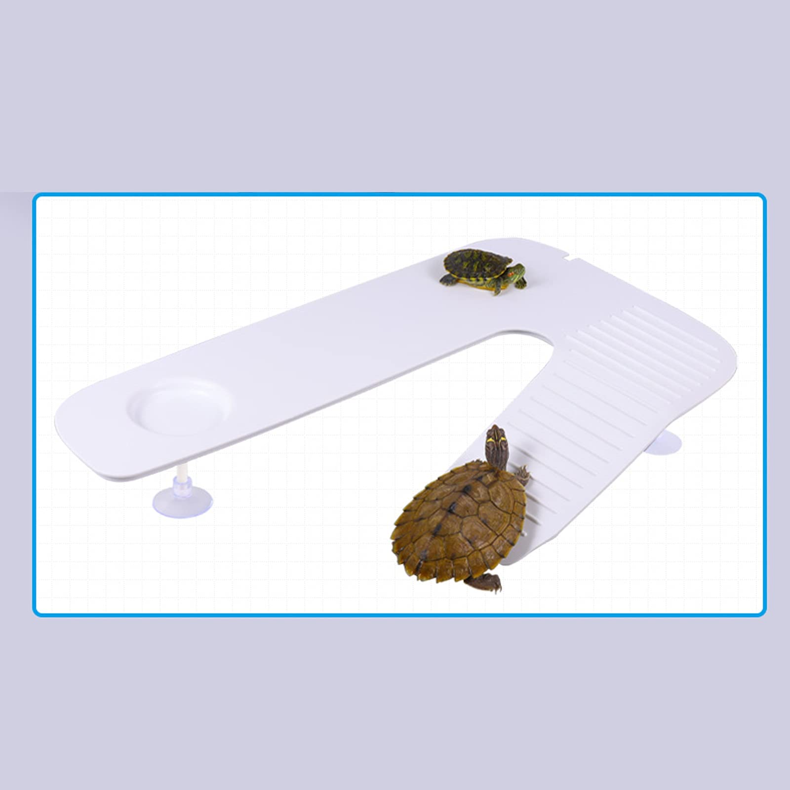 Serbatoio di tartaruga Tartaruga Tartaruga Terrario Famiglia Free Water Change Cintura Cintura Piattaforma Asciugatura Tortoise brasiliano Grande tartaruga speciale for animali domestici per Interni E