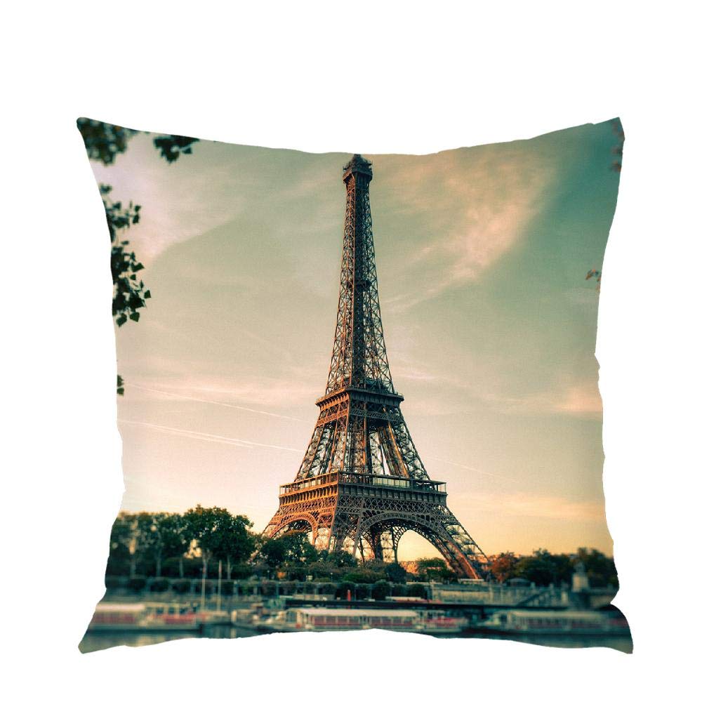 Insmartq Cushion Covers,Most of the passion Pattern 18"x18" / 45 x 45cm Double Sided Design Soft and Cozy Throw Pillow Cover for Sofa Bed Home Decoration Without Cushion Core