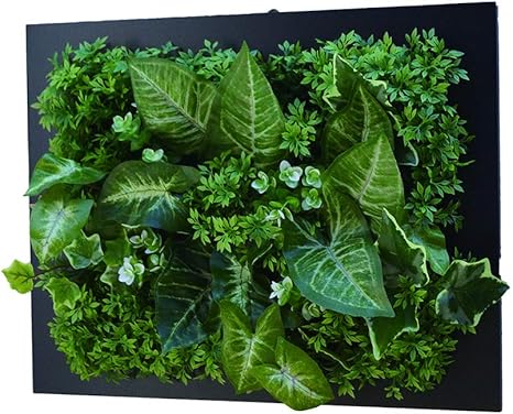 Amazon 壁掛けグリーンフレームシンゴジュームブラック 光触媒 造花 観葉植物 インテリアグリーン 人工観葉植物 オンライン通販 Amazon 壁掛けグリーンフレームシンゴジュームブラック 光触媒 造花 観葉植物 インテリアグリーン 人工観葉植物 オンライン通販