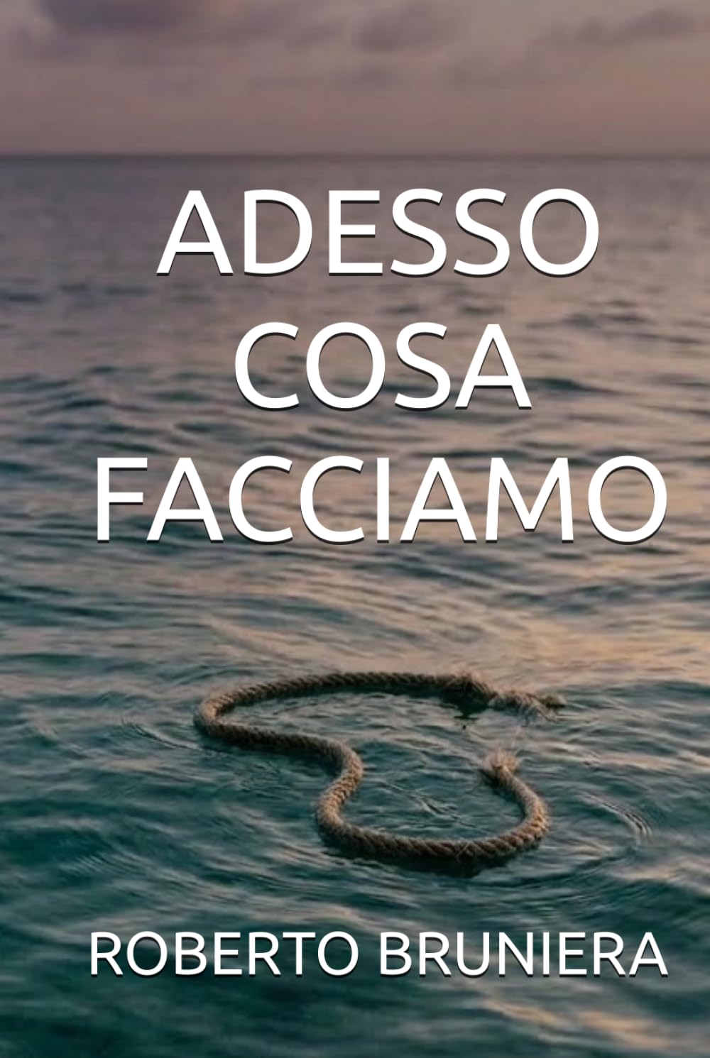 ADESSO COSA FACCIAMO