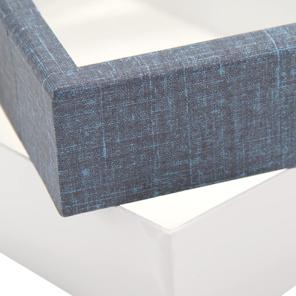 Amazon | 志賀昆虫 ボール紙製標本箱 （特々大型） 昆虫 標本用品 標本