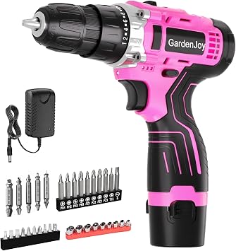 GardenJoy Cordless Power Drill Set 12V Electric Drill with Battery and Charger, 65pcs Acessories, 3/8"Keyless Chuck, 2 Variable Speed, 24+1 Position, Compact Drill Driver Kit for Home & DIY Project