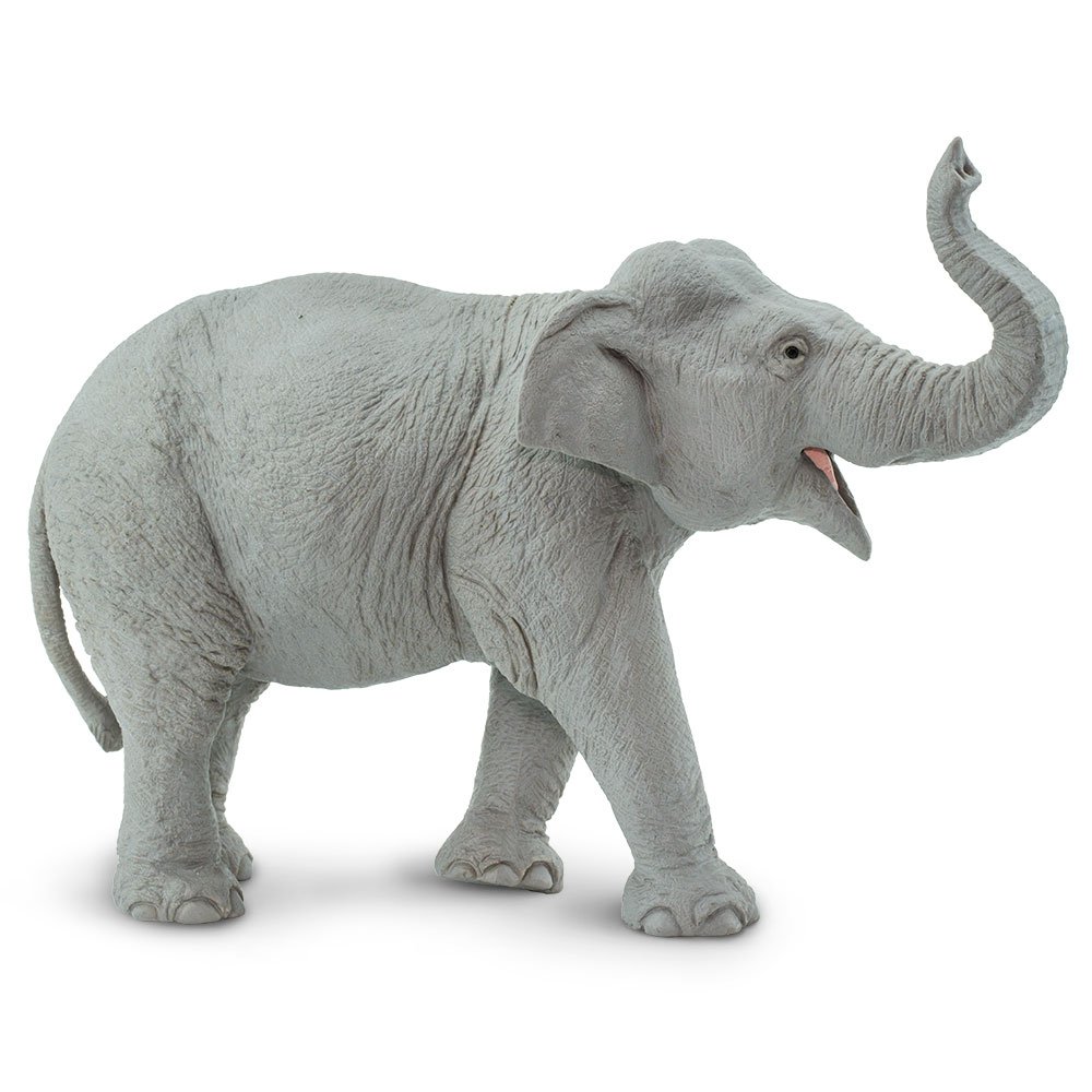 Elephant Brand 2冊 Amazon.co.jp: ELEPHANT BRAND2(エレファントブランド2) : 平田