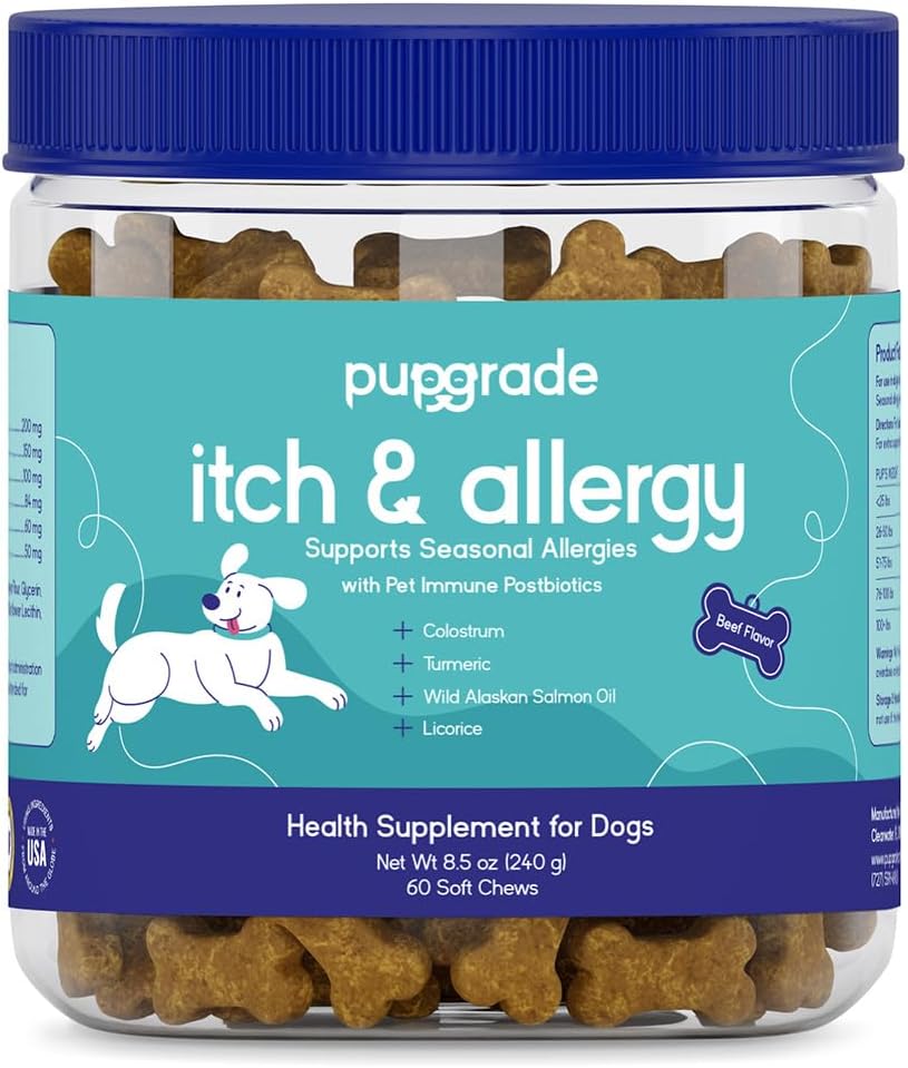 PupGrade Itch & Allergy Soft Chews for Dogs – Helps Reduce Occasional Itching – Skin & Coat Support Supplement with Pet Immune Postbiotics & Salmon Oil – Probiotic Immune & Gut Support – 60 Count