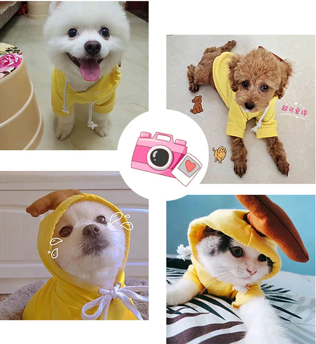 XIAOYU Chiot Chien à Capuche Chats Hoodies vêtements pour Animaux de Compagnie élégant Fruits Chandail pour Chien Chat Petits Animaux Moyens, Banane, S