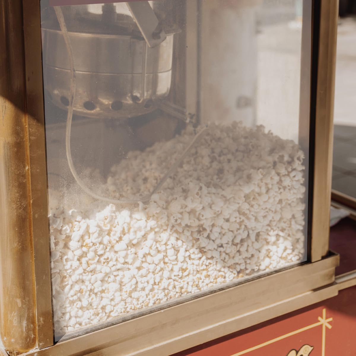 Pvc Türschutzblenden für Kommerzielle Popcornmaschinen Robust 2 Stück Duales Türdesign Transparent für Gewerblichen und Privaten Gebrauch