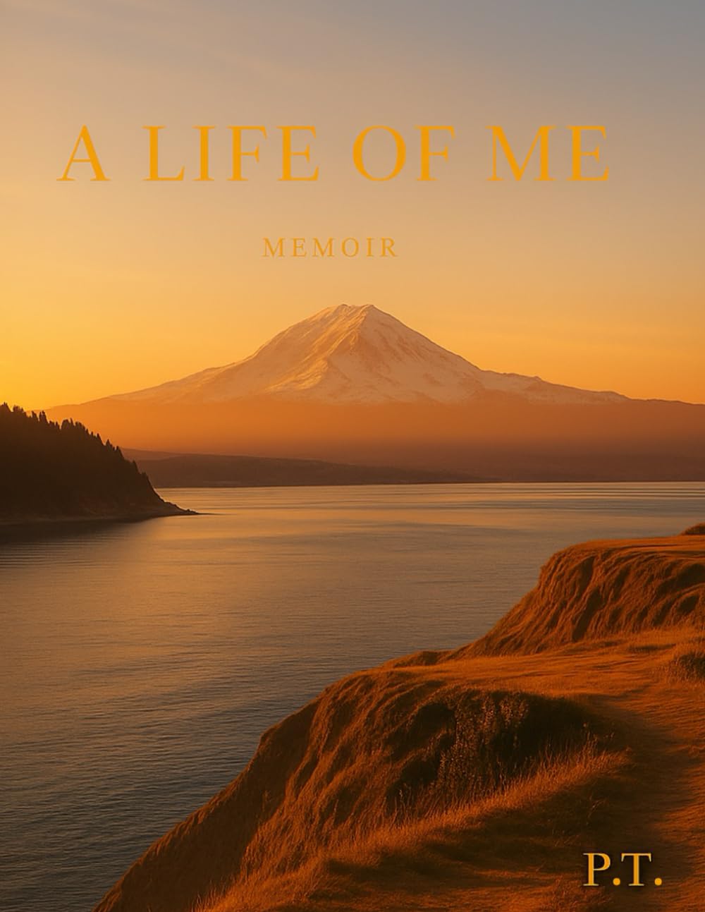 A Life of Me — Memoir P.T.: A Story of Work, Breath, and Becoming