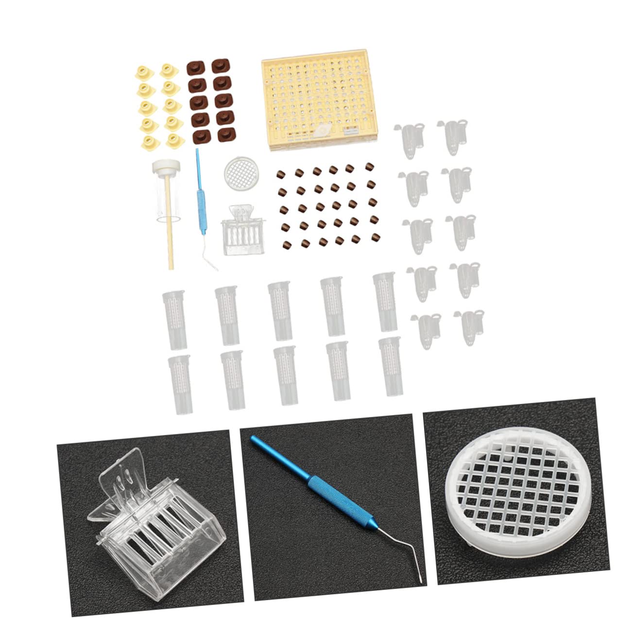 VANZACK Professionale Per Allevamento Regine Api Kit Completo Per Apicoltura Strumenti Per Nutrizione e Allevamento Contenitore Per Facile Da Usare e Trasportare
