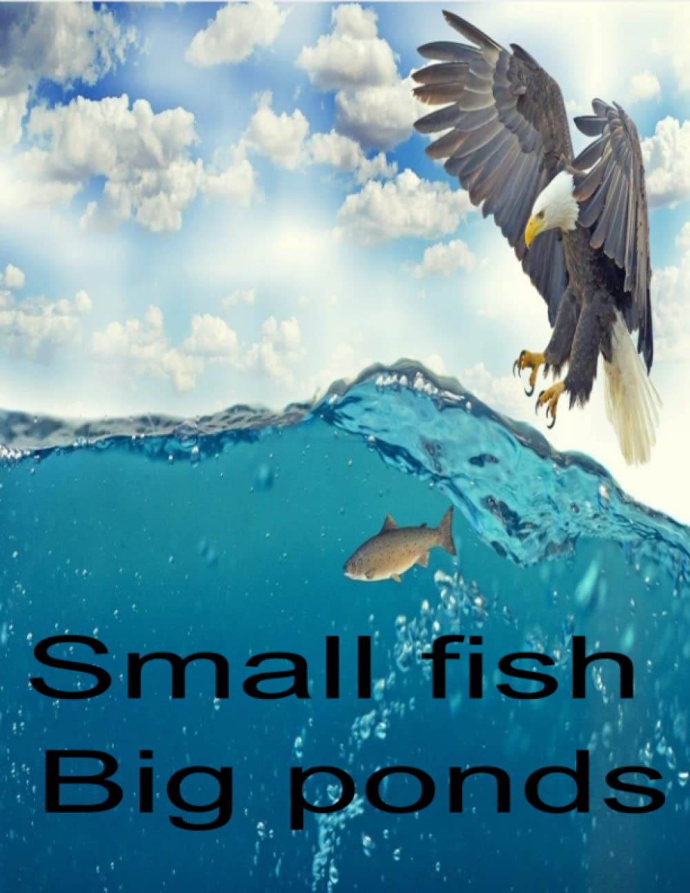 Small fish Big ponds