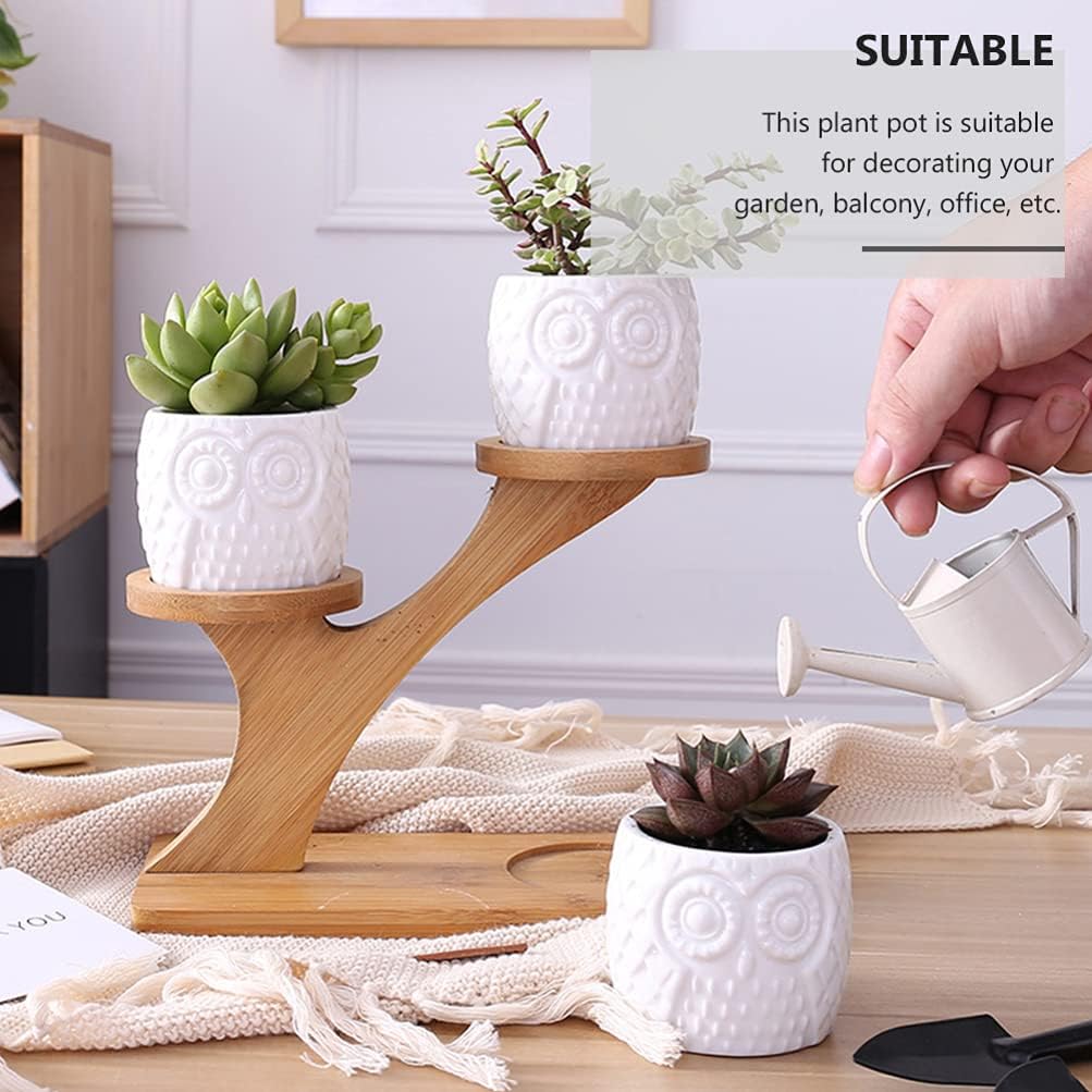 Angoily Ceramic Succulent Planter Pot with Wood Rack Small Planting Pot Planter for Garden Balcony Patio Home Desktop