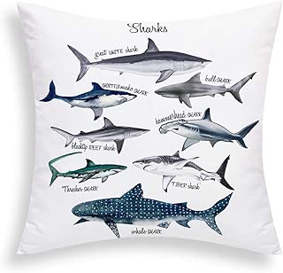 giant shark pillow that eats you