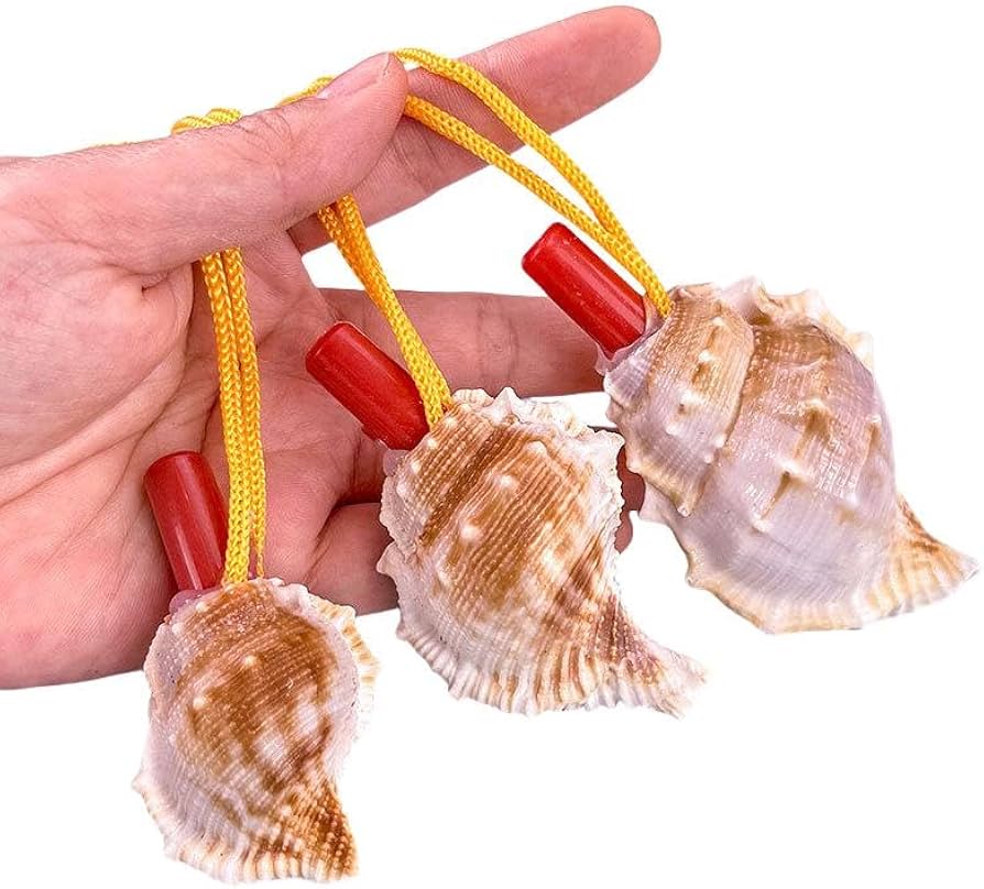 Amazon.co.jp: 10個 貝笛 鳴き声の笛 ホイッスル 天然貝殻 巻貝