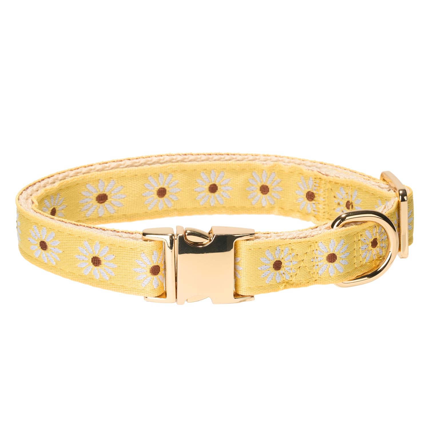 Adjustable Jacquard Webbing in Yellow Daisy Pattern Dog Collar with Soft Natural Cotton Padding and Gold Metal Buckle- Cute and Durable for Medium Dogs