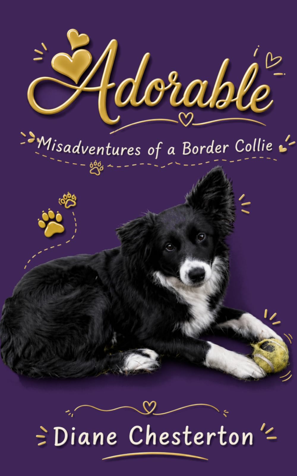 Adorable: Misadventures of a Border Collie