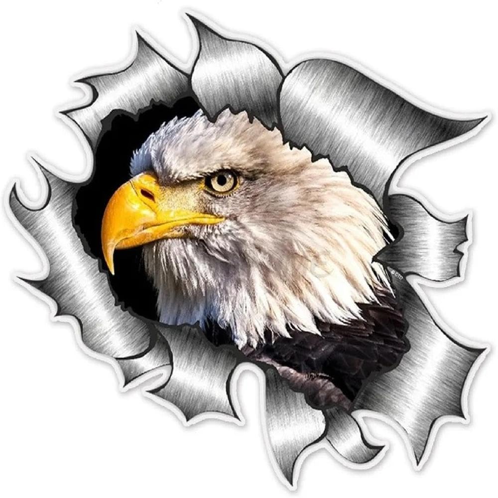 Eagles Decal Car Hood Decal Bonnet Side Universal Birds Hawk Eagle Stickers