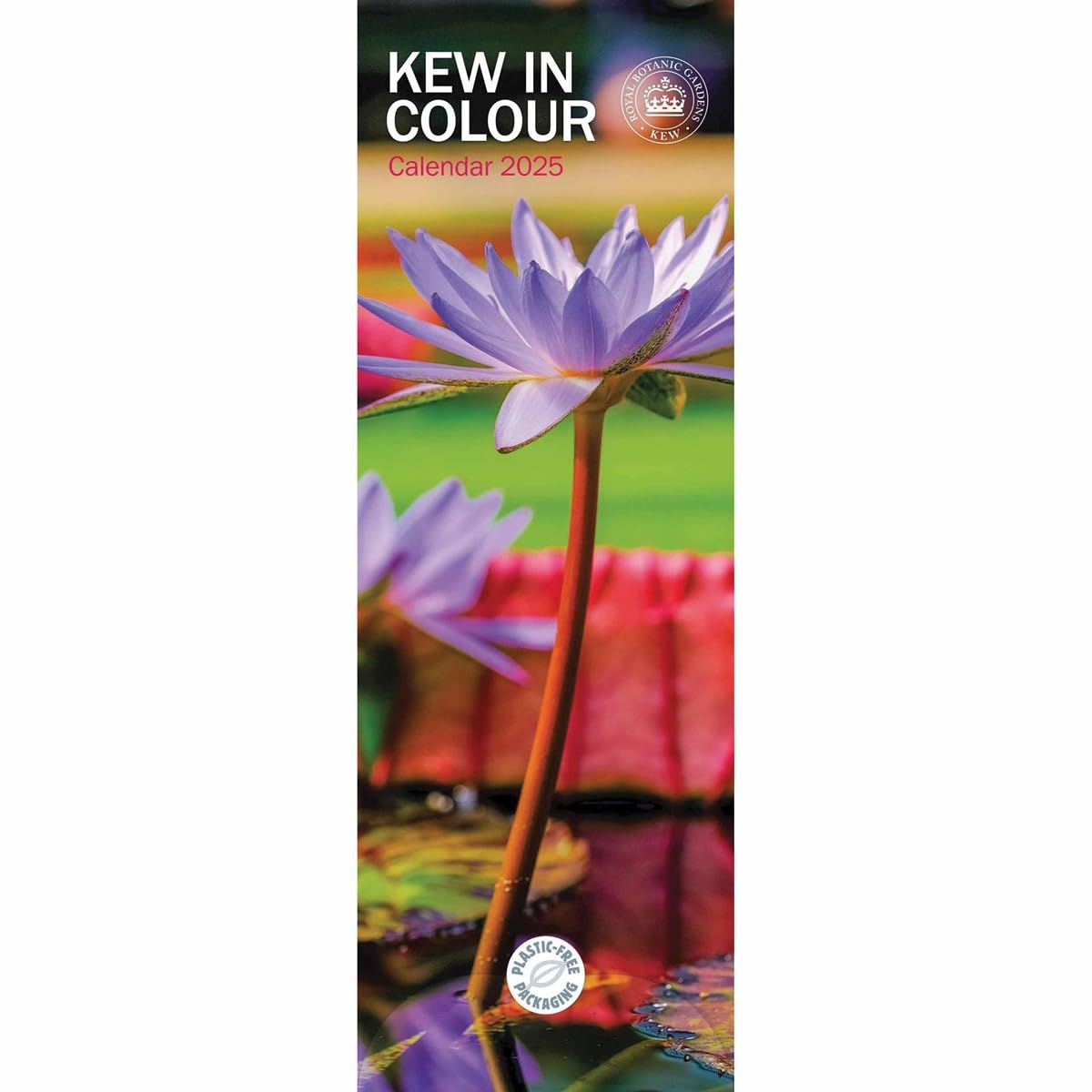 Royal Botanic Gardens Kew in Colour Slim Wall Calendar 2025 (PFP)