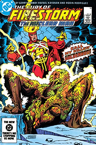 Cover of The Fury of Firestorm (1982-1990) #19