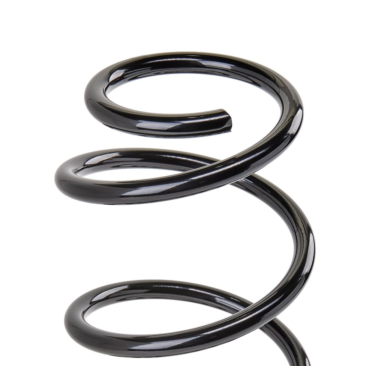 RIDEX 188C0254 2x Ressort de suspension Arrière Compatible avec RENAULT Laguna 3 Grandtour KT, KT0/1