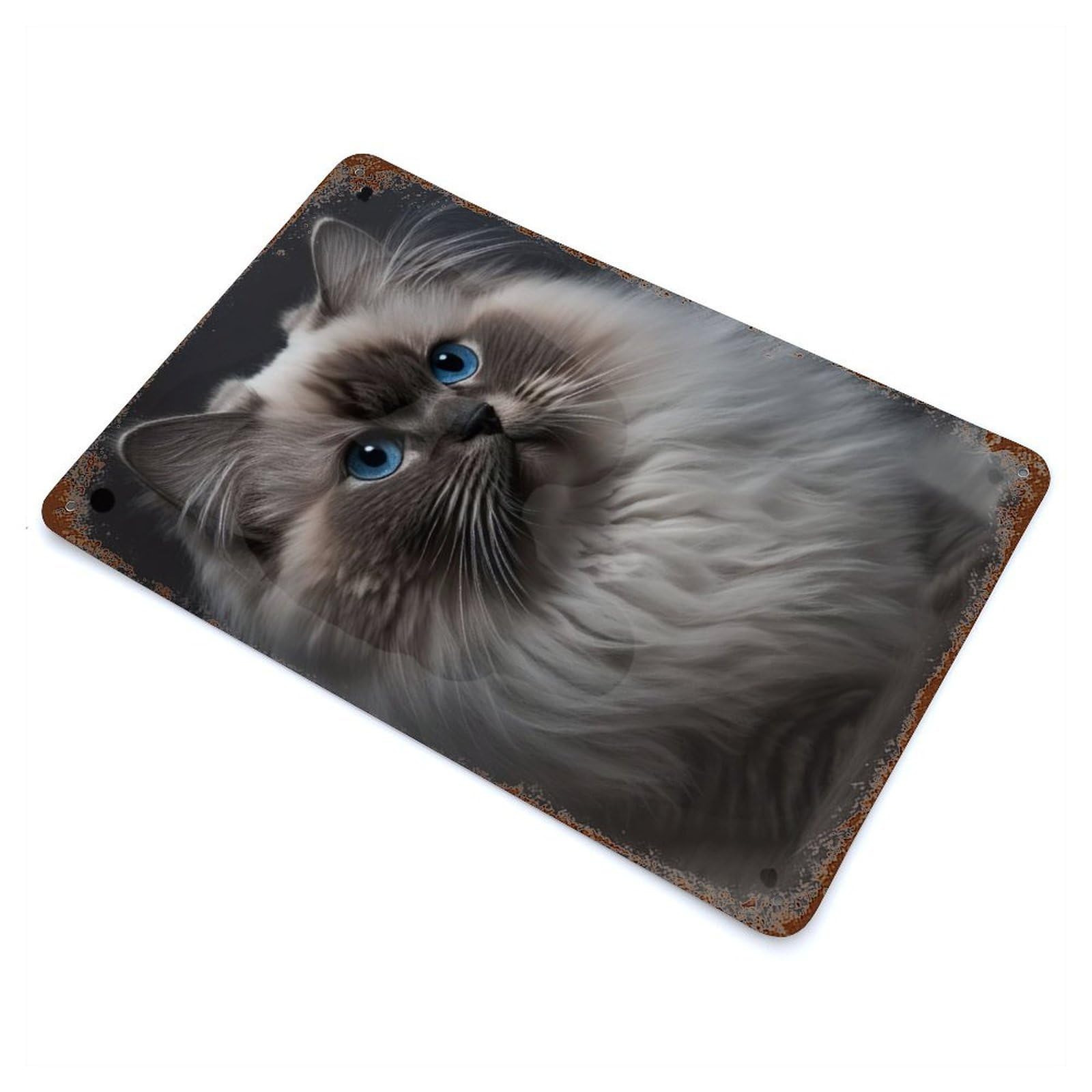 Aged Metal Wall Plaque with Birman Kitten Design 11.8"x7.9", for Cafe, Home Bar And Lounge Decor, Novelty Wall Decor
