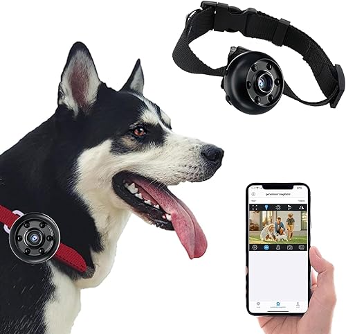 Mayycinco Mini collar de cámara HD para gatos, cámara para perros con video, cámara de vigilancia de seguridad para mascotas con visión nocturna,