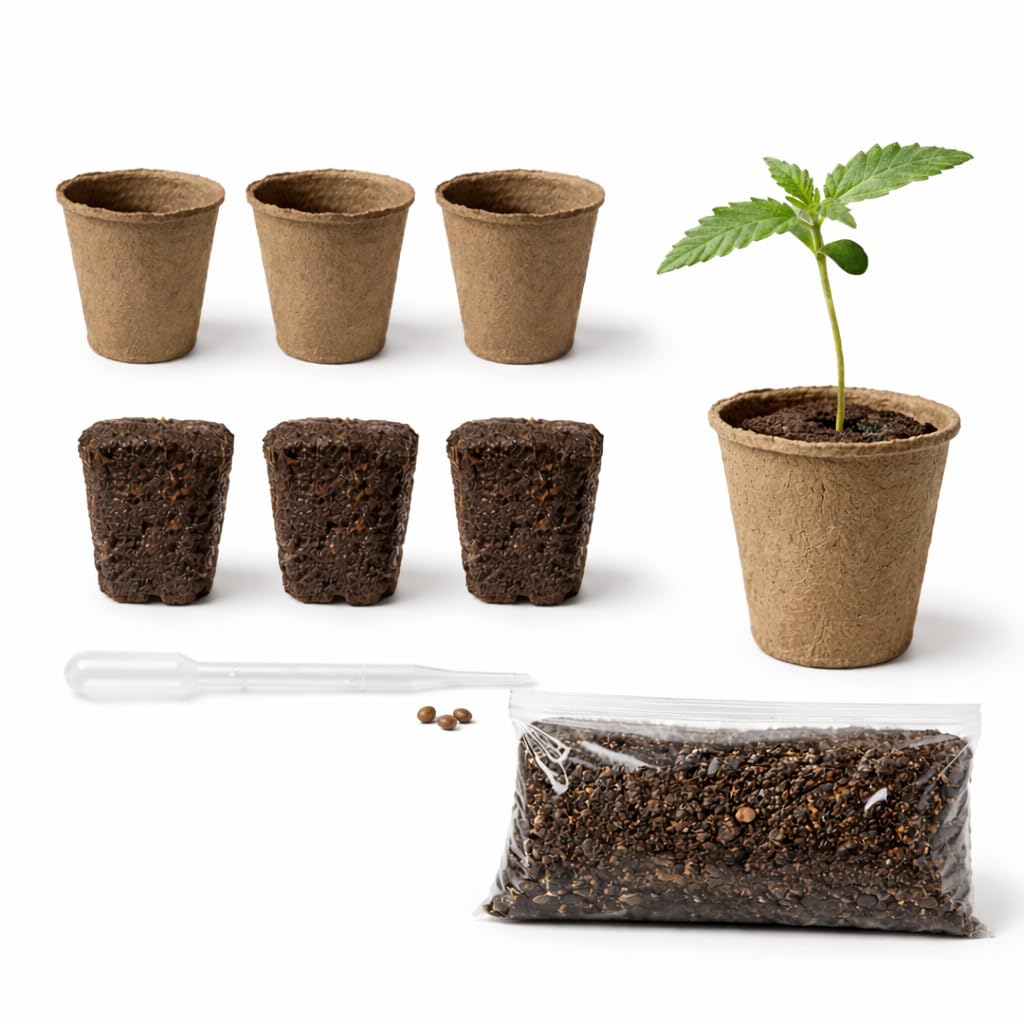 Cannabis Anbau Starter-Kit/Set für drei Gras/-Weed Pflanzen inkl. Anbauanleitung und Zubehör (3x Zkittles)