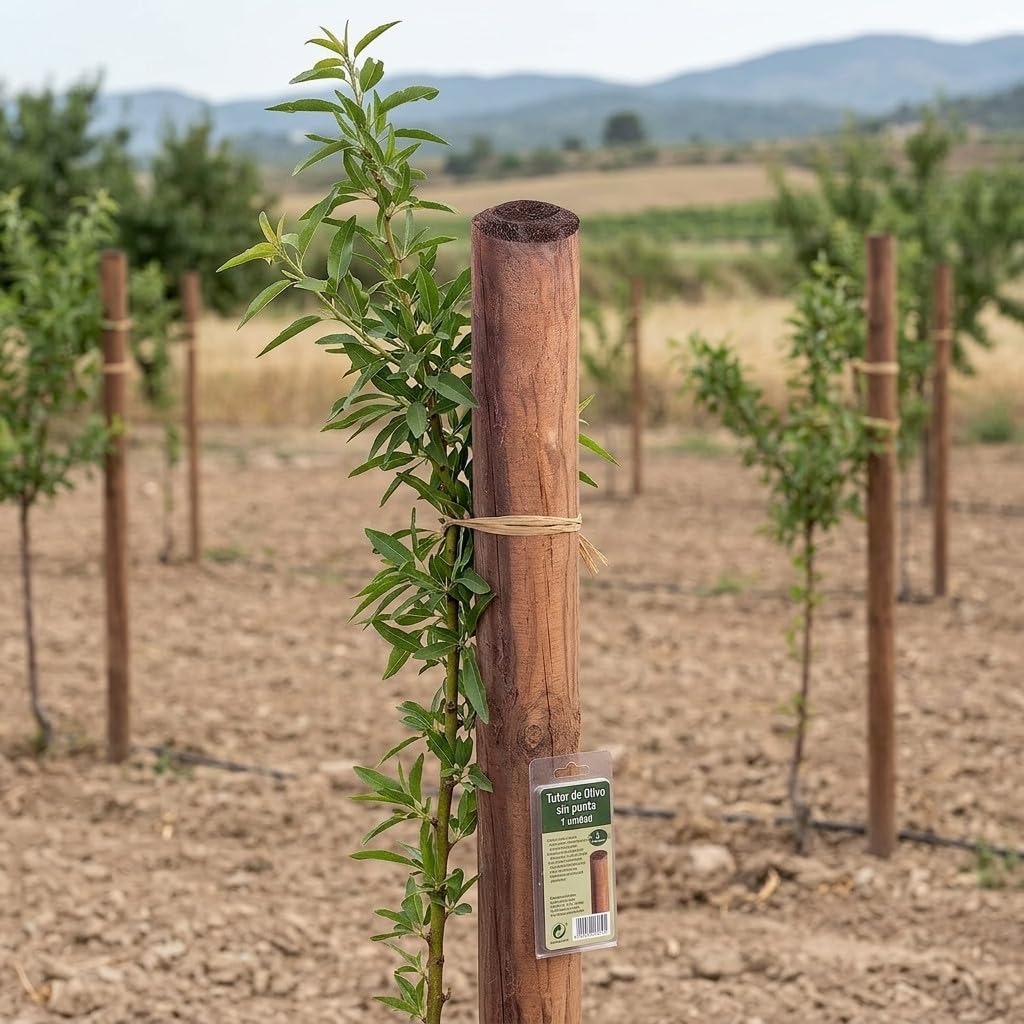 Suinga Pack 5 Postes Tutor de Madera sin Punta | 200 cm de Altura | Diámetro 8 cm | Ideales para Vallas, Cercados, Cuadras y Pérgolas | Soporte Resistente para Árboles y Uso Agrícola