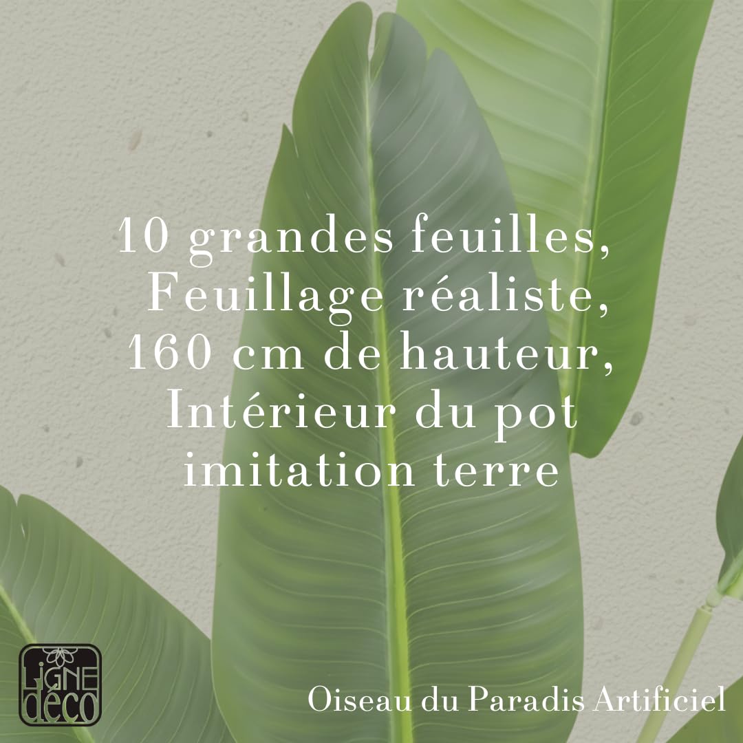 Ligne Déco – Oiseau du Paradis Artificiel 160 cm | Plante Tropicale Artificielle Haut de Gamme Pot Plastique Noir Interieur Imitation Terre | Decoration Maison Élégante | Fausse Plante Interieur Chic