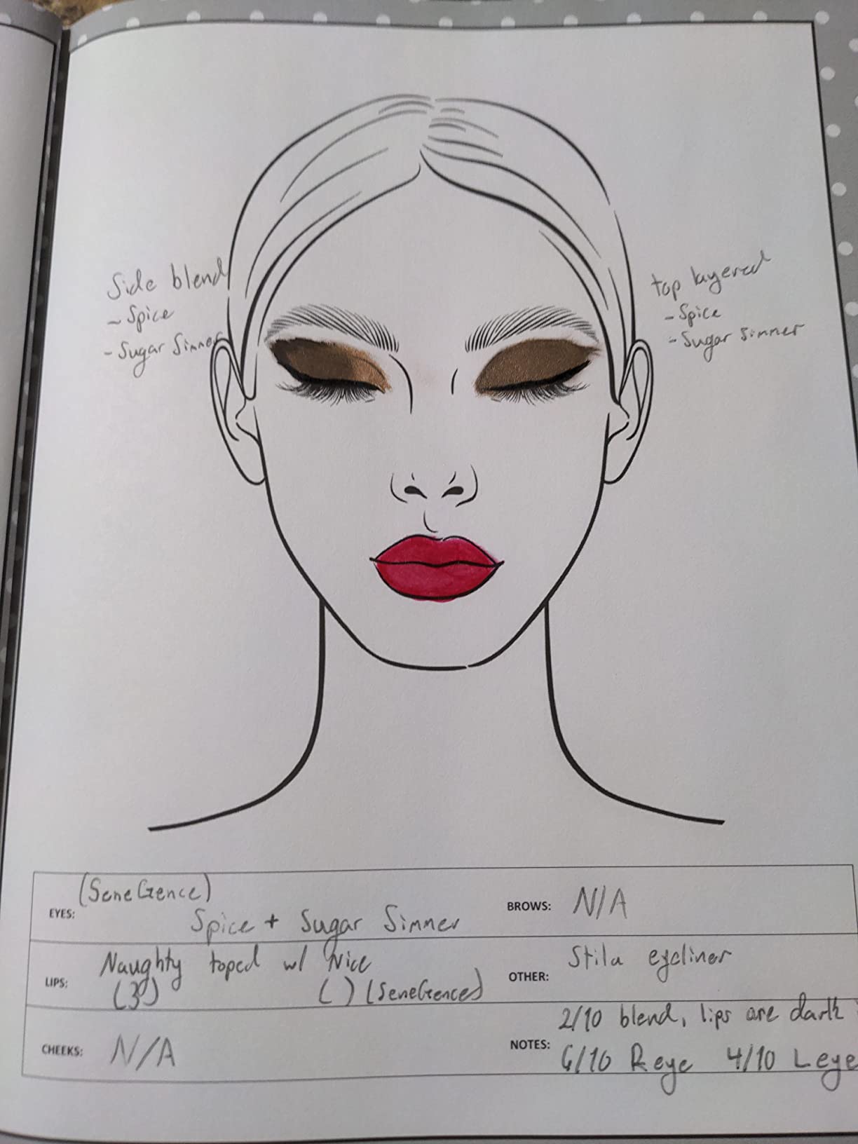 $1/mo - Finance Make-up Practice Book for Teens: Makeup Face Charts ...
