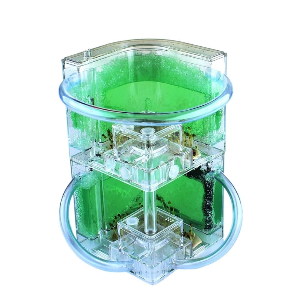 Doppelschichtiges Ameisenfarm-Formicarium aus Acryl, stapelbarer Ameisennest-Lebensraum, erweiterbare Zuchtbox mit 360°-Ansicht for Haltung und Beobachtung(Green)