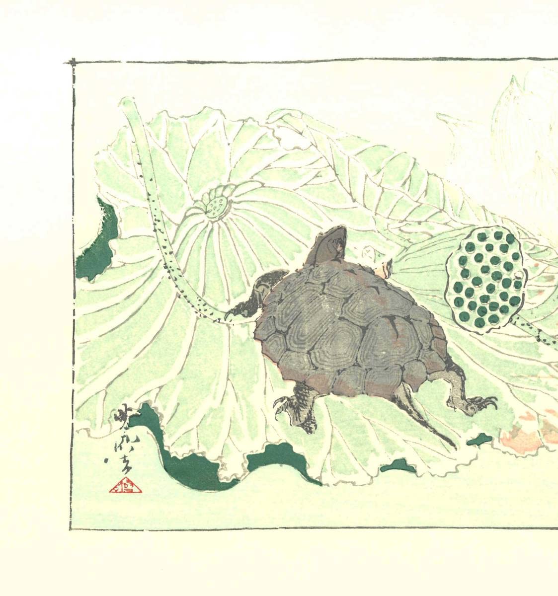 Amazon.co.jp: 河鍋暁斎 (1831-1889) 木版画 亀 没後120年記念