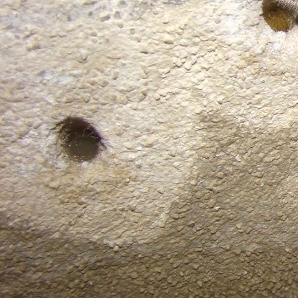 Mineralizador Sopgal 25L Impermeabilizante consolidante humedades capilares | Penetra en profundidad, consolida soportes degradados y ayuda a detener la humedad ascendente en muros y paredes.