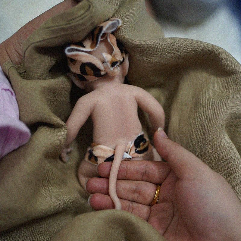 Miniatura 2 de Mini elfo de silicona realista de 7 pulgadas, muñeca de elfo renacida de la vida real, muñeca realista de Surprice para niños, alivio del estrés