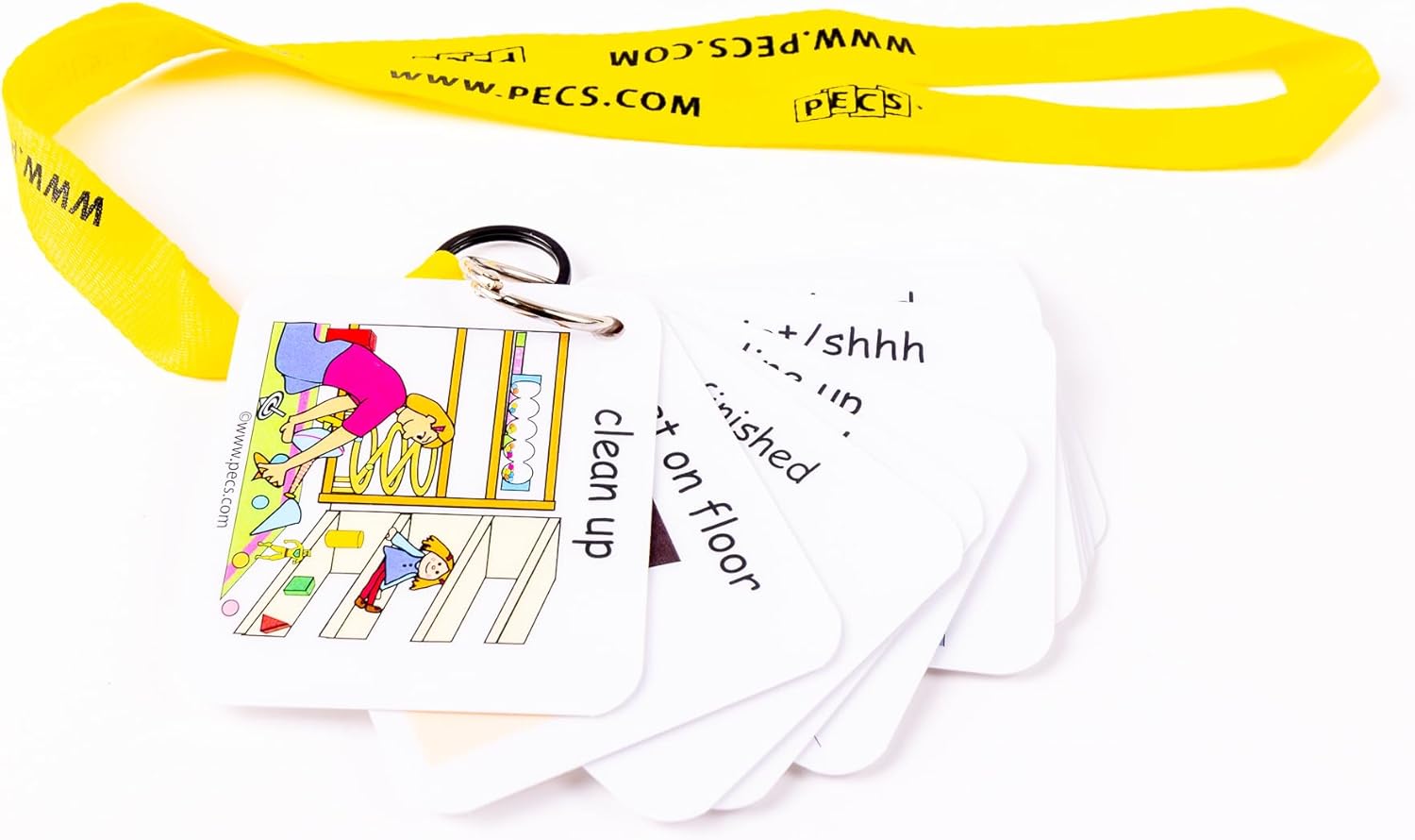 PECS® Show and Go: Visual Classroom Direction Cards (Any Color)