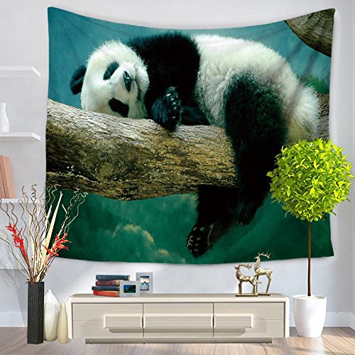 Gratuit Images Dorm Decor The Best Amazon Price In Savemoney Es dernière par