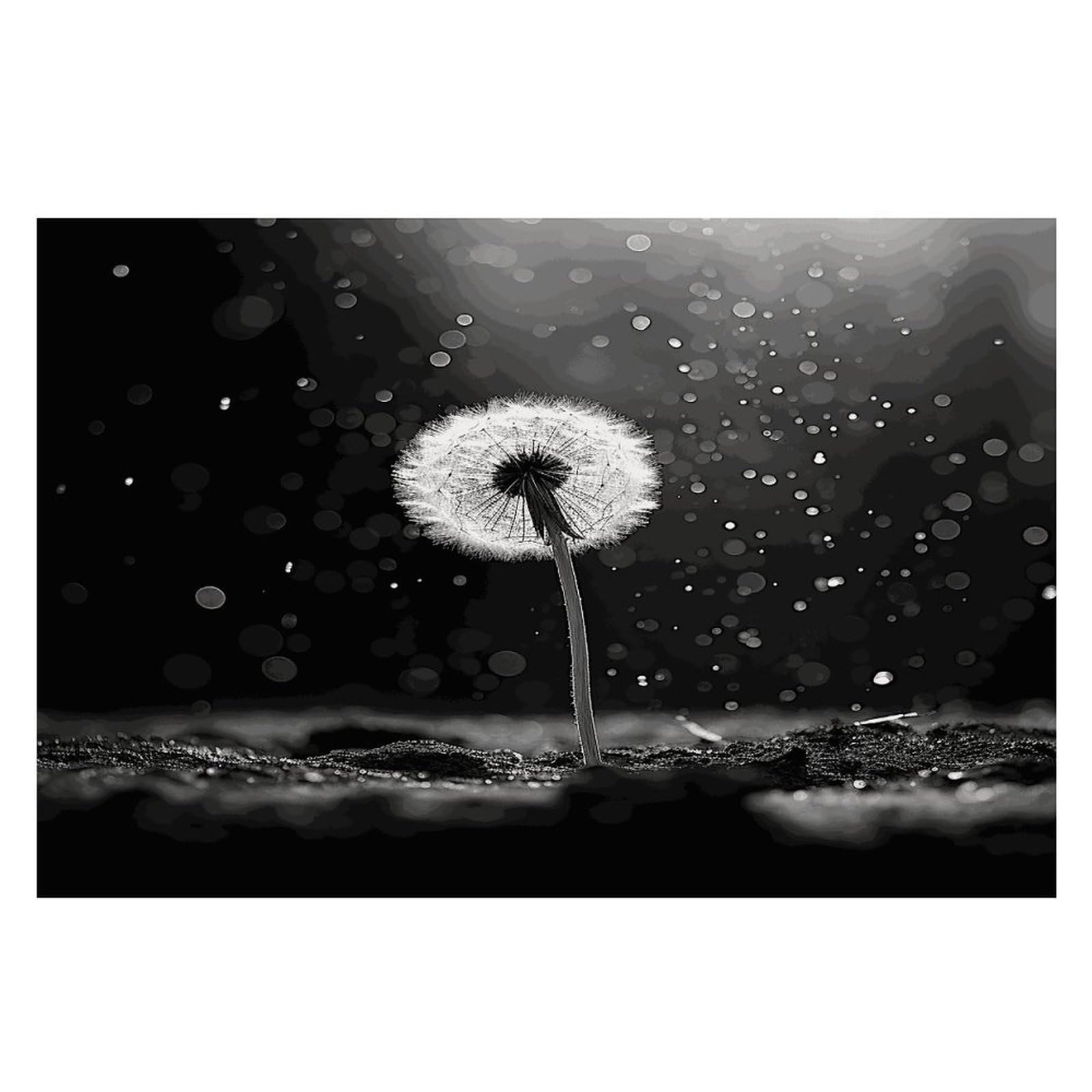 Placemats Placemats Dandelion Black and White Placement Mats for Dining Table Place Mats Suitable for Personal Dining Tables Dinner Parties BBQ Weddings