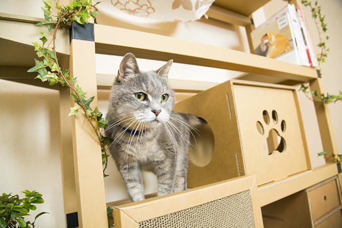 Amazon ニャンダフルシェルフ Mini Nyanderfulshelf ニャンダフルシェルフ キャットタワー 通販