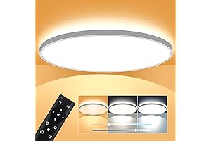 12 Inch Ceiling Light: Stick on Ceiling with Remote Control