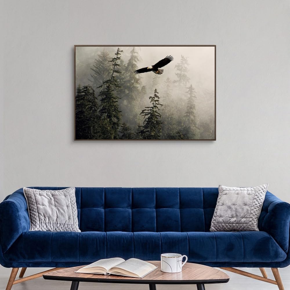 CANVAS ON DEMAND Bald Eagle Soaring Through Misty Tongass Nat Forest Southeast Alaska Walnut Float Framed Canvas Wall Art Print by John Hyde, Home Decor, Beautiful, Wildlife Artwork,48" x32in