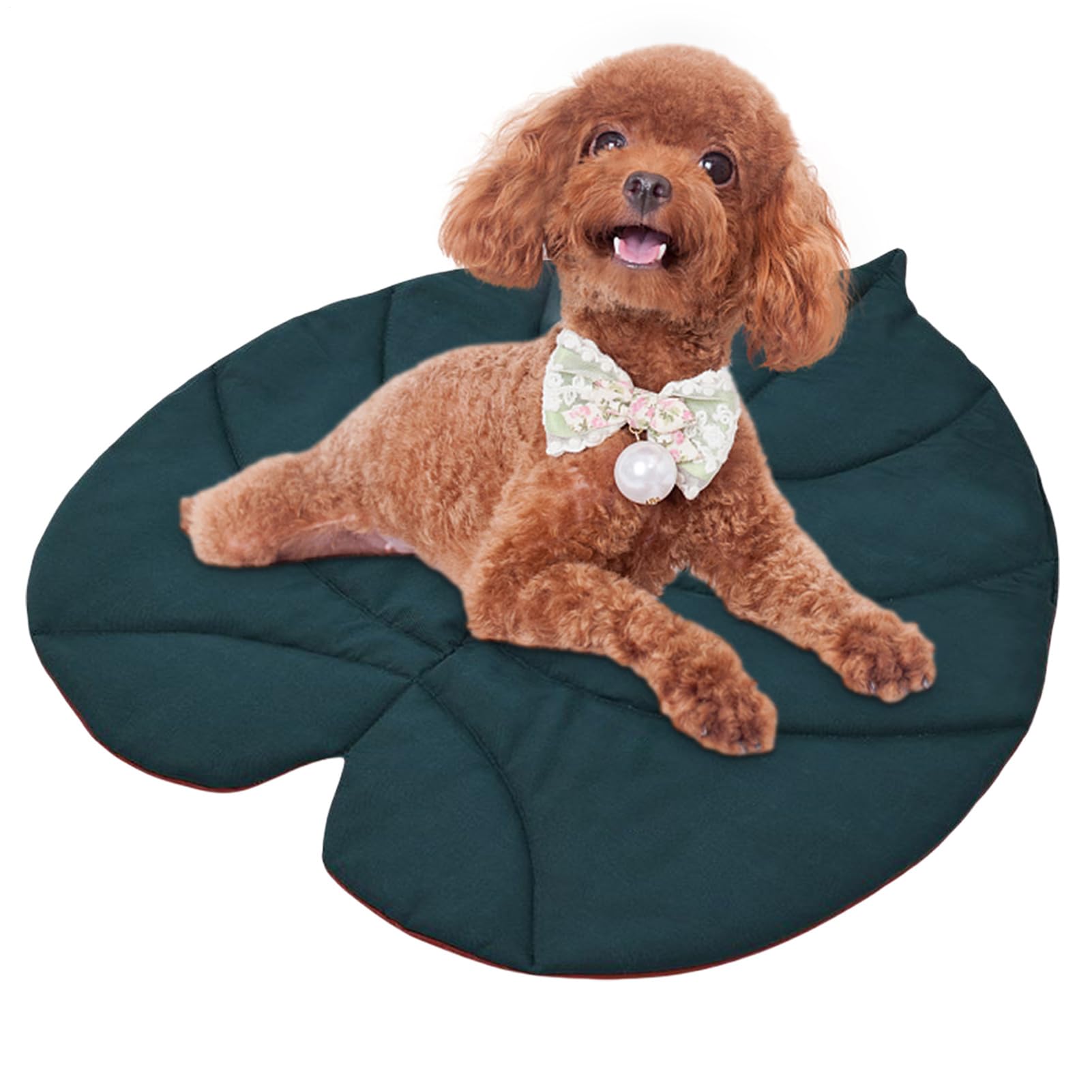 Voyage voiture pour chiots avec le tapis de sol feuille doux