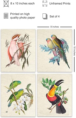 Miniatura 2 de Bird Wall Art - Bird Wall Decor - Tropical Wall Decor - Tropical Birds - Parrot Decorations - Parakeet, Cockatoo, Lovebird, Toucan Wall Art -
