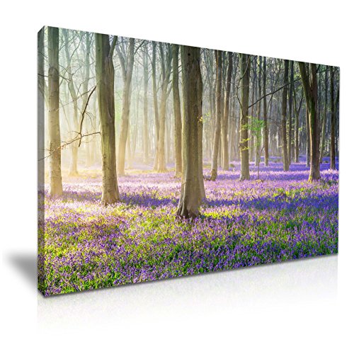 Beautiful Stunning Bluebells Forest Sunlight Stretched Canvas Wall Art Picture Print 76x50cm