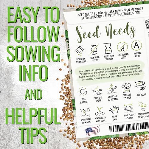 Seed Needs Cilantro Seeds for Planting Coriander Kitchen Herbs - Non-GMO Heirloom & Untreated - Grow a Home Grown Herb Garden Indoors or Outdoors (1 Pack) - Image 4