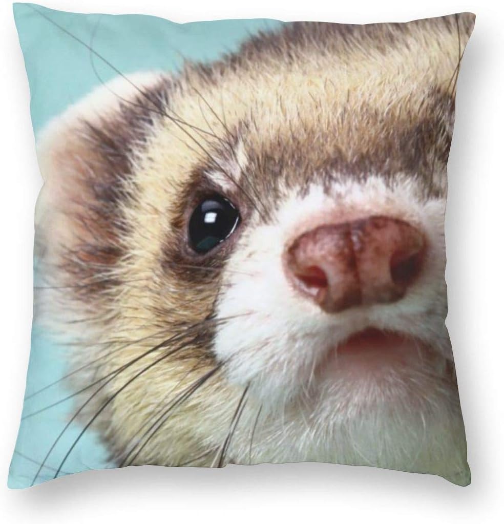 Amazon Co Jp かわいい フェレット 青 クッションカバー 60 60cm 枕カバー ソファ背当て おしゃれ 可愛い 部屋雑貨 ソファー 車用 インテリア 飾り 正方形 抱き枕カバー 北欧 装飾枕カバー 座布団カバー 1枚セット ホーム キッチン