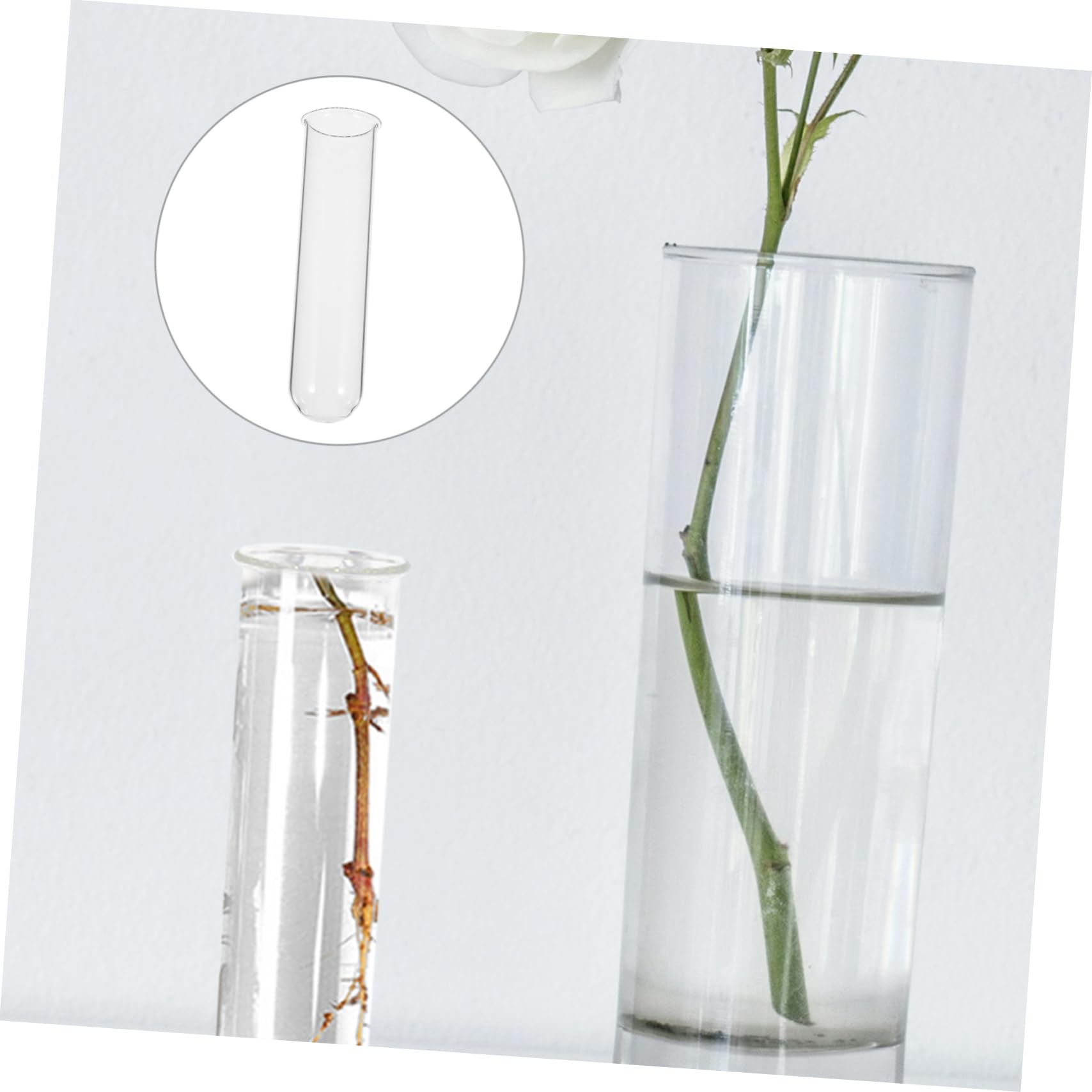 Amazon.co.jp: 水培試験管花瓶 植物用の試験管 4個セット ガラス 3.7