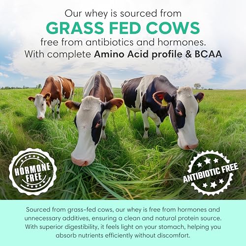 Image of Foodstrong Whey Protein Powder (Concentrate + Isolate), 100% Hormone Free Grass-Fed Whey, 24G Protein & 6.6G BCAA, With Turmeric & Digestive Enzymes, Rainbow Pack Of 6 Sachets, 208G